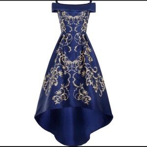 Beautiful Cinderella Chi Chi London dress